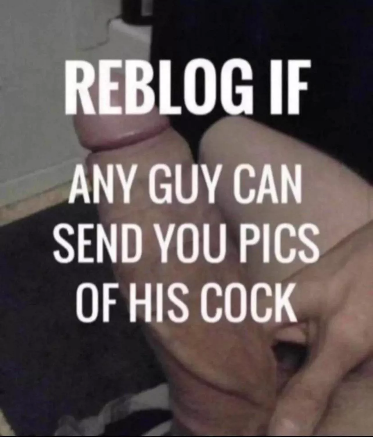 DMs as open as my legs