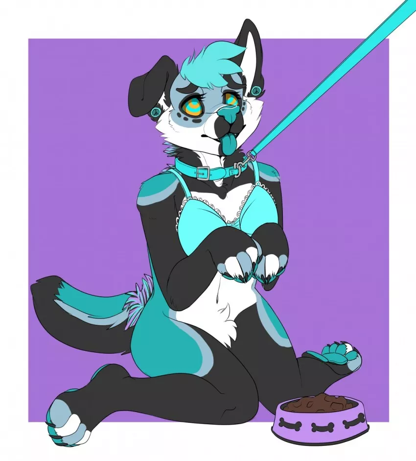 [f] I'll be a good dog for my owner (kyralie)