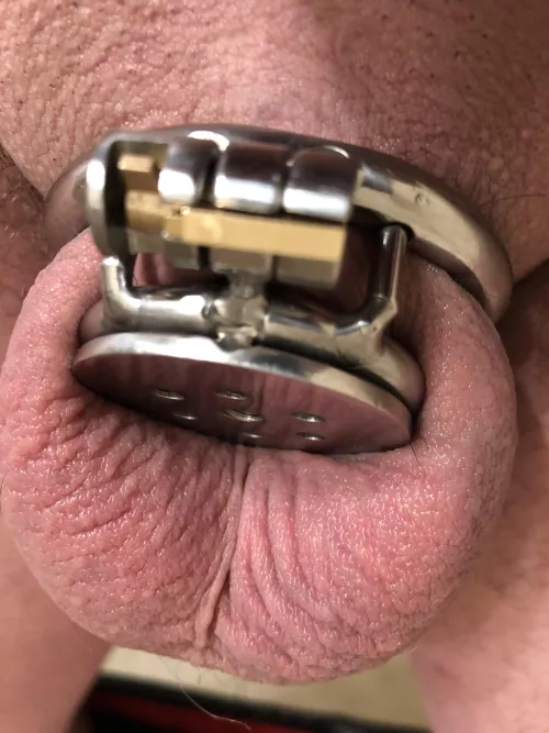 Feeling super snug and small in my flat micro cage 😍🥺🤏🏻 (27)