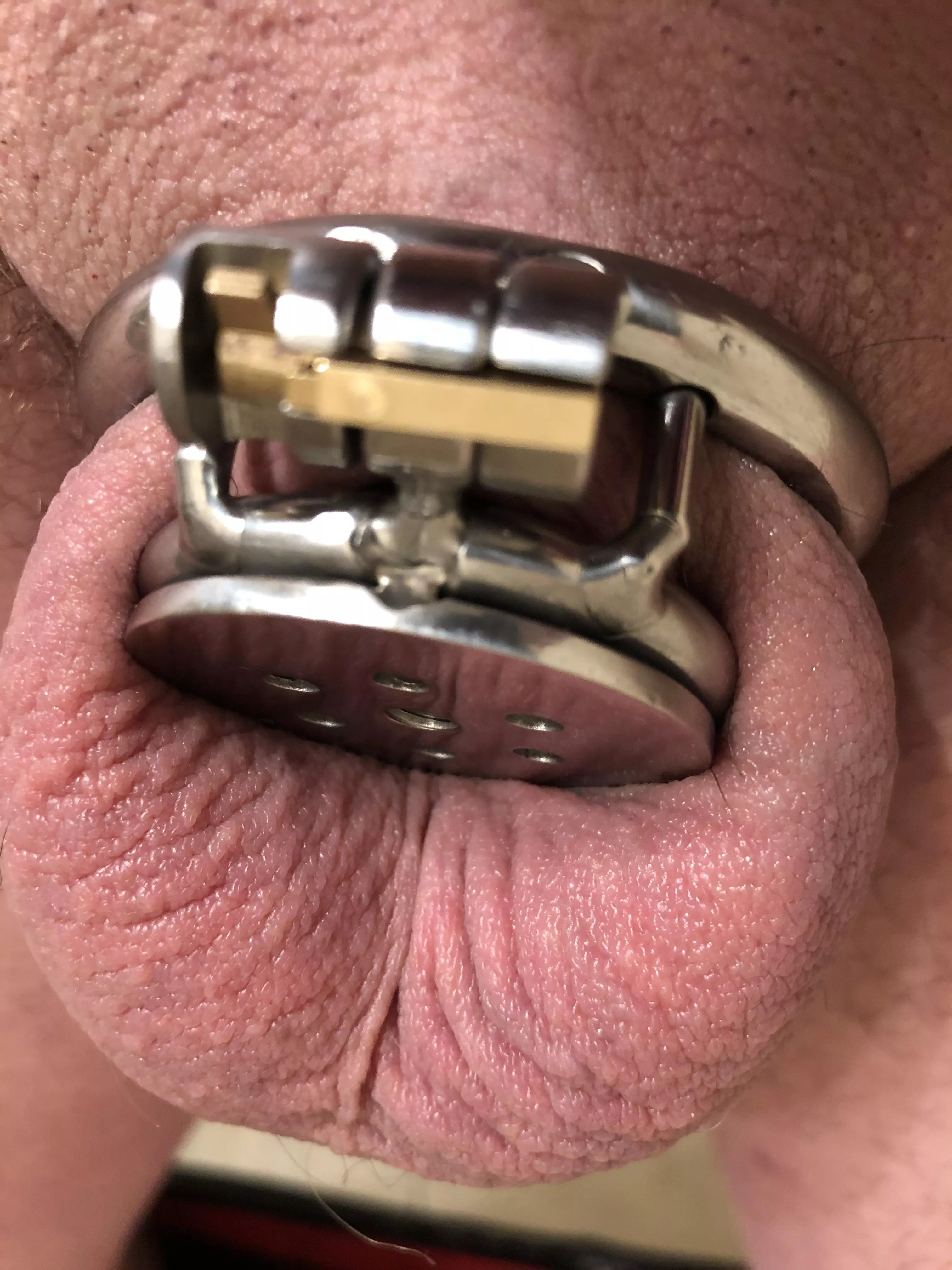 Feeling super snug and small in my flat micro cage 😍🥺🤏🏻 (27)