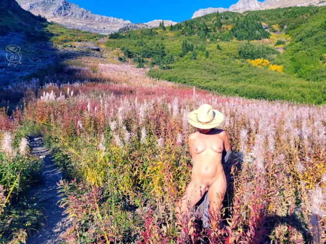 Glacier's Garden Wall