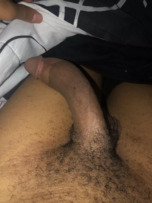 I want a Fem and some twinks to worship my BBC
