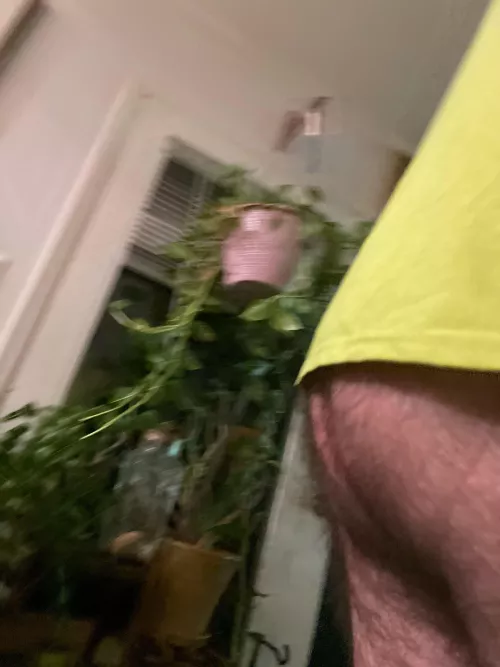 Just checked this sub out , is there a sub where non bears that are attracted to us post? Thanks.