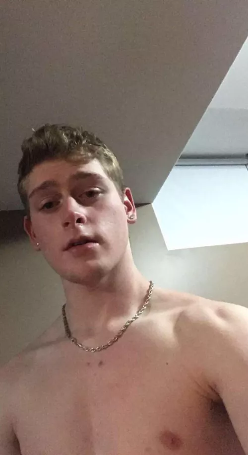 Looking for an obedient fit fag to own and impress its owner