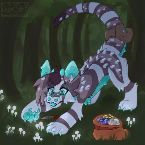 Mushroom Foraging!! 🍄🍄✨(@ScarlettWolf24)