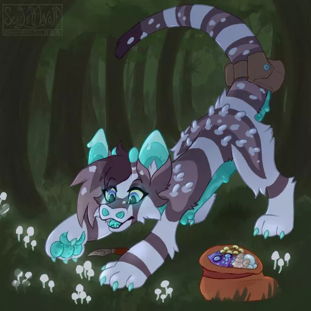 Mushroom Foraging!! 🍄🍄✨(@ScarlettWolf24)