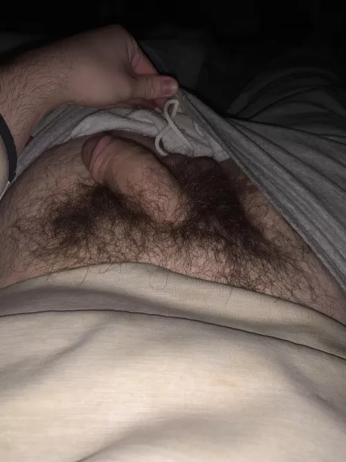 My early morning pubes