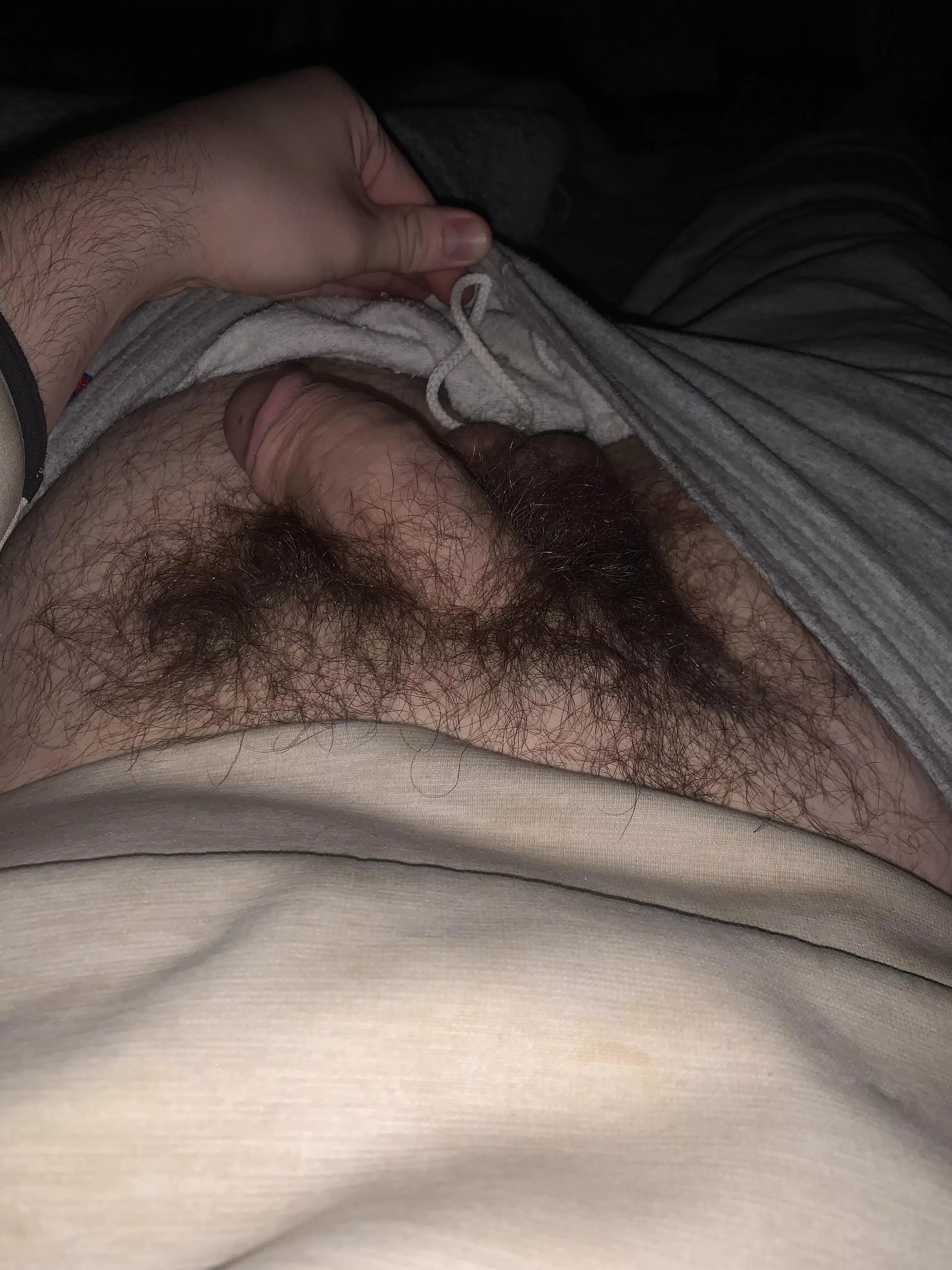 My early morning pubes