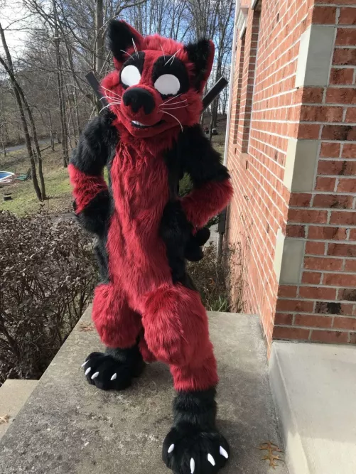my first fursuit it still gives me nightmares lol (actual pic of me in my fursuit)