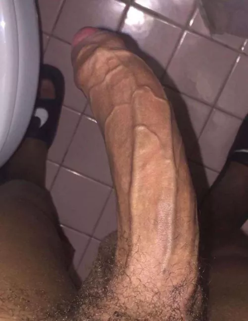 need someone to breed