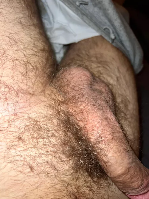 Never shaved my balls before.