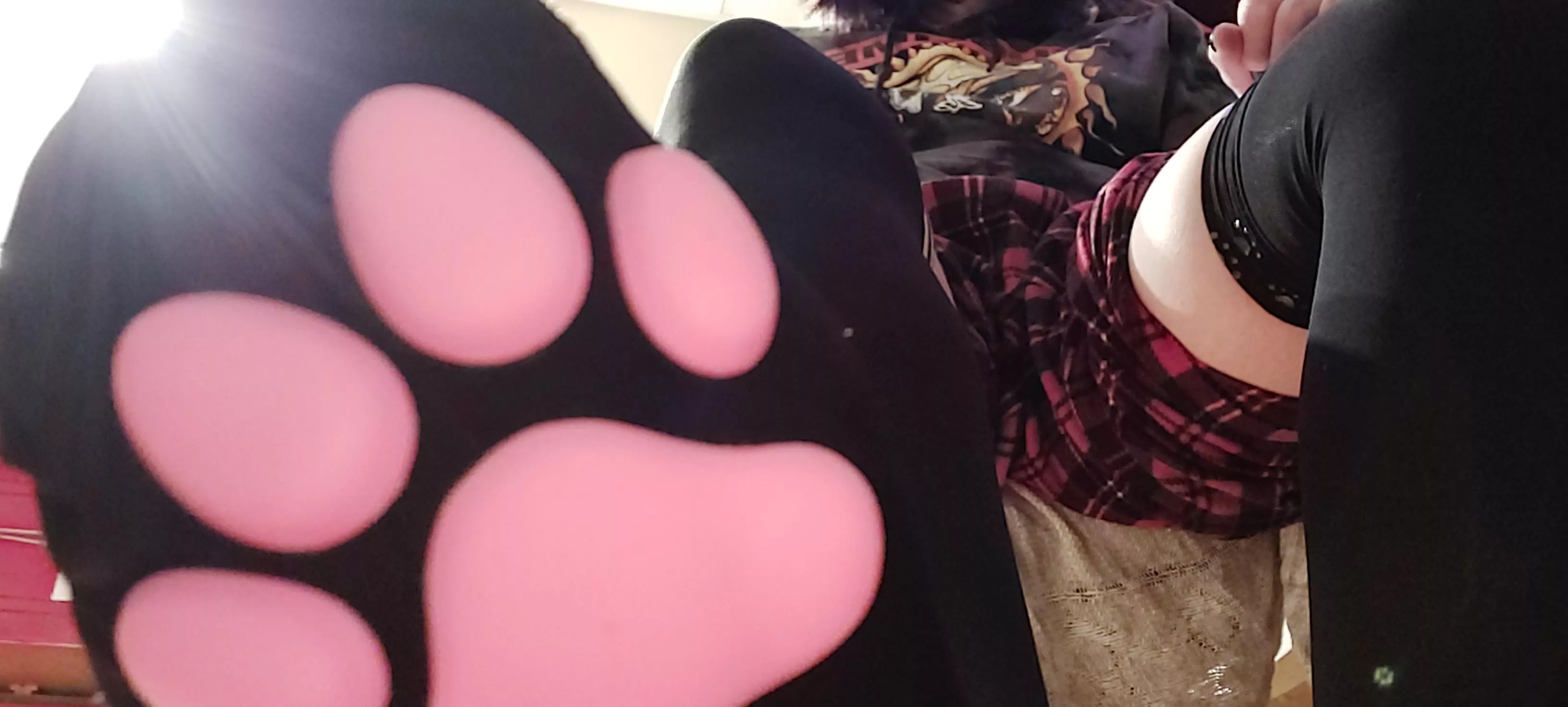 not exactly sure where to post this 🐾