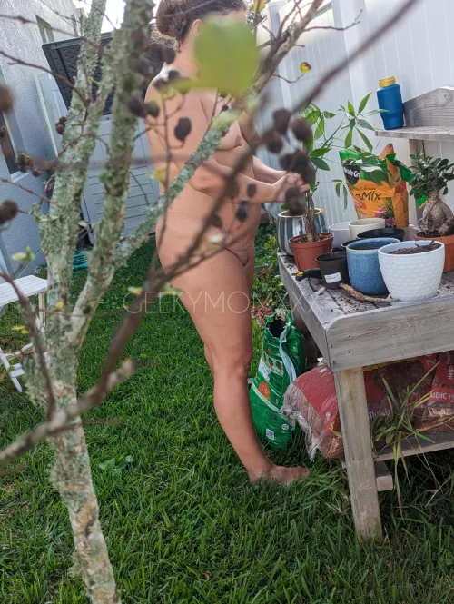 Time to do some repotting