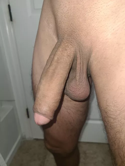 uncut and shaved M[40]
