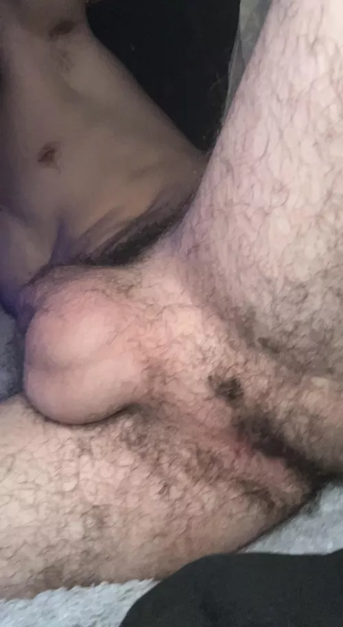 Use my hairy ass?