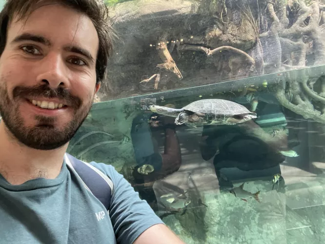 Well hello there, what brings you here? 🐢