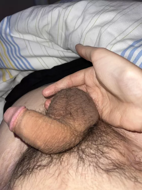 What do you think about my genitals?