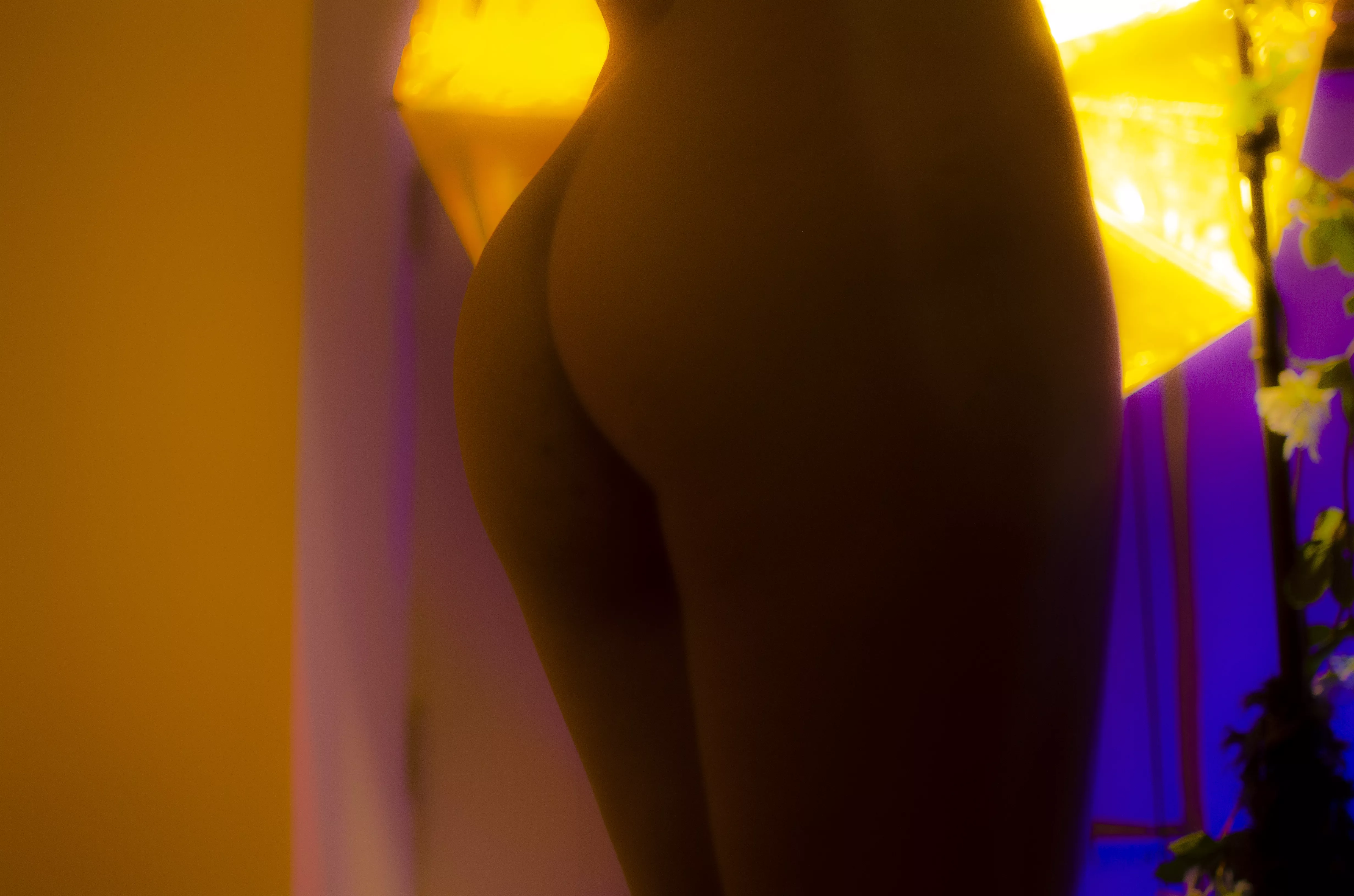 What is your favorite thing to do with them?