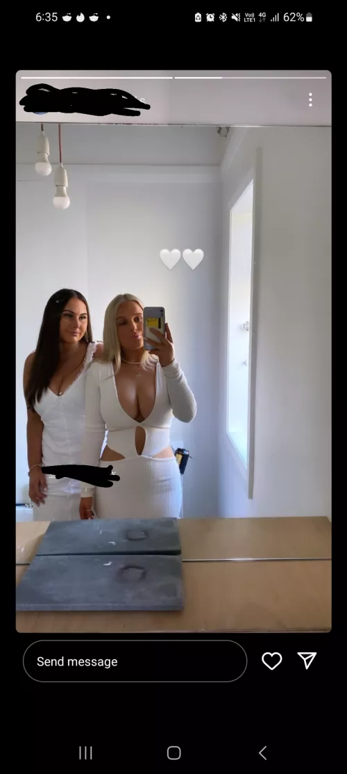 2 sets of great tits