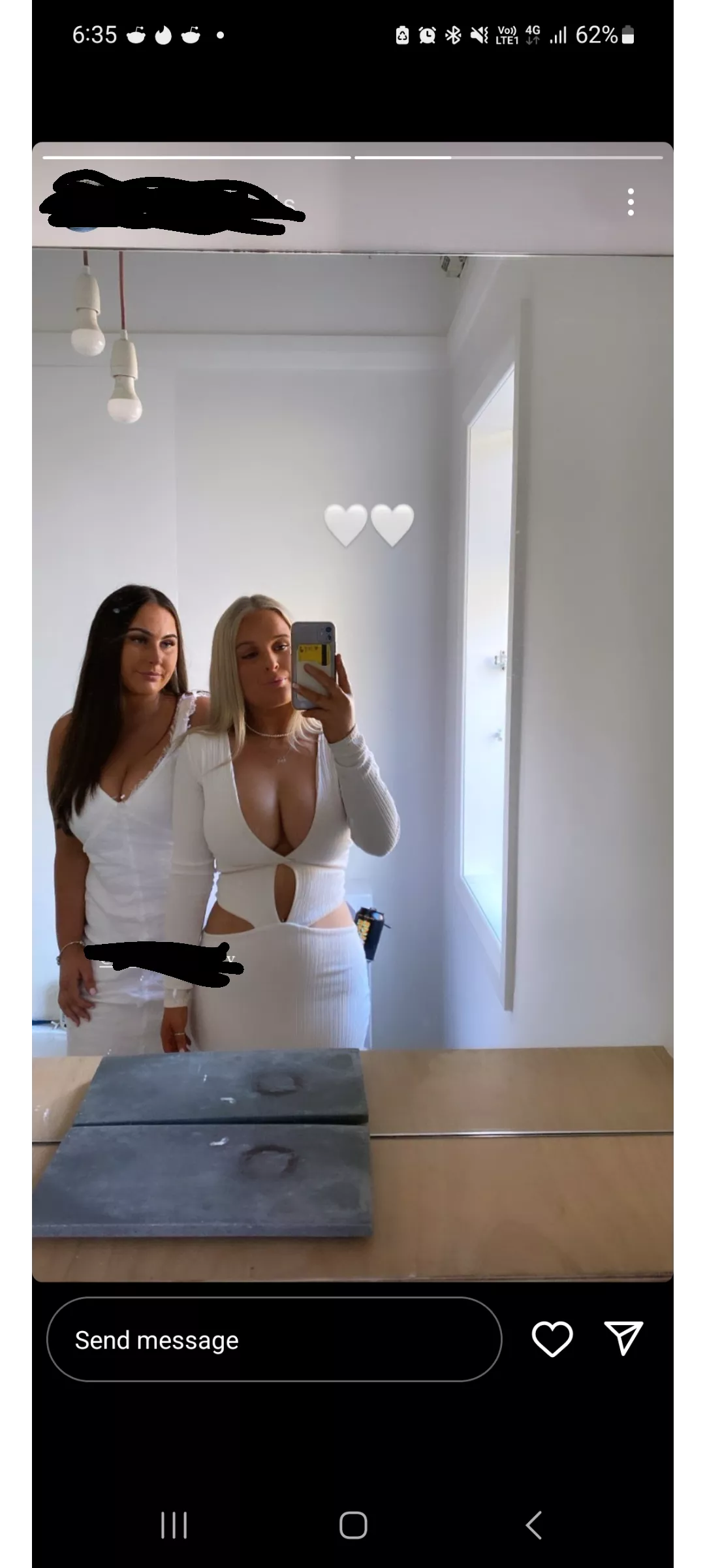 2 sets of great tits