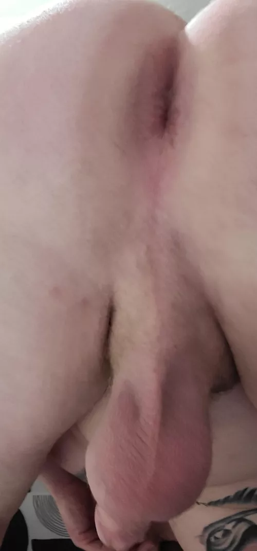 26 M Tampa Florida need filles