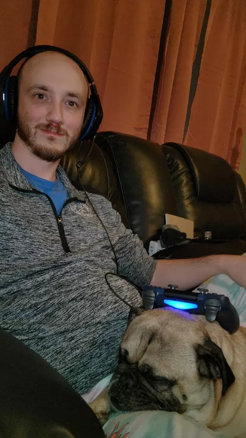 anyone else have to play pillow to their pet while gaming?