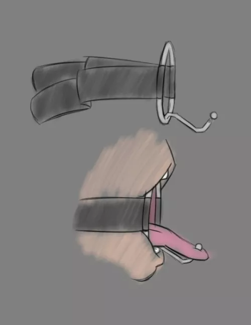 Anyone who has seen this device in porn?