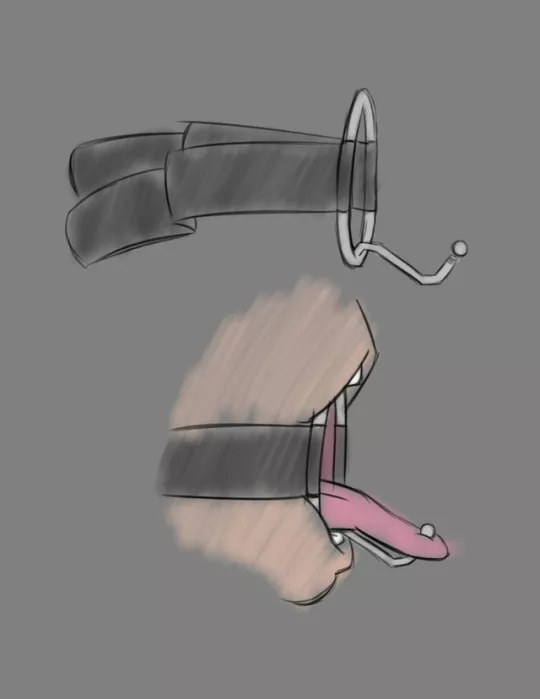 Anyone who has seen this device in porn?