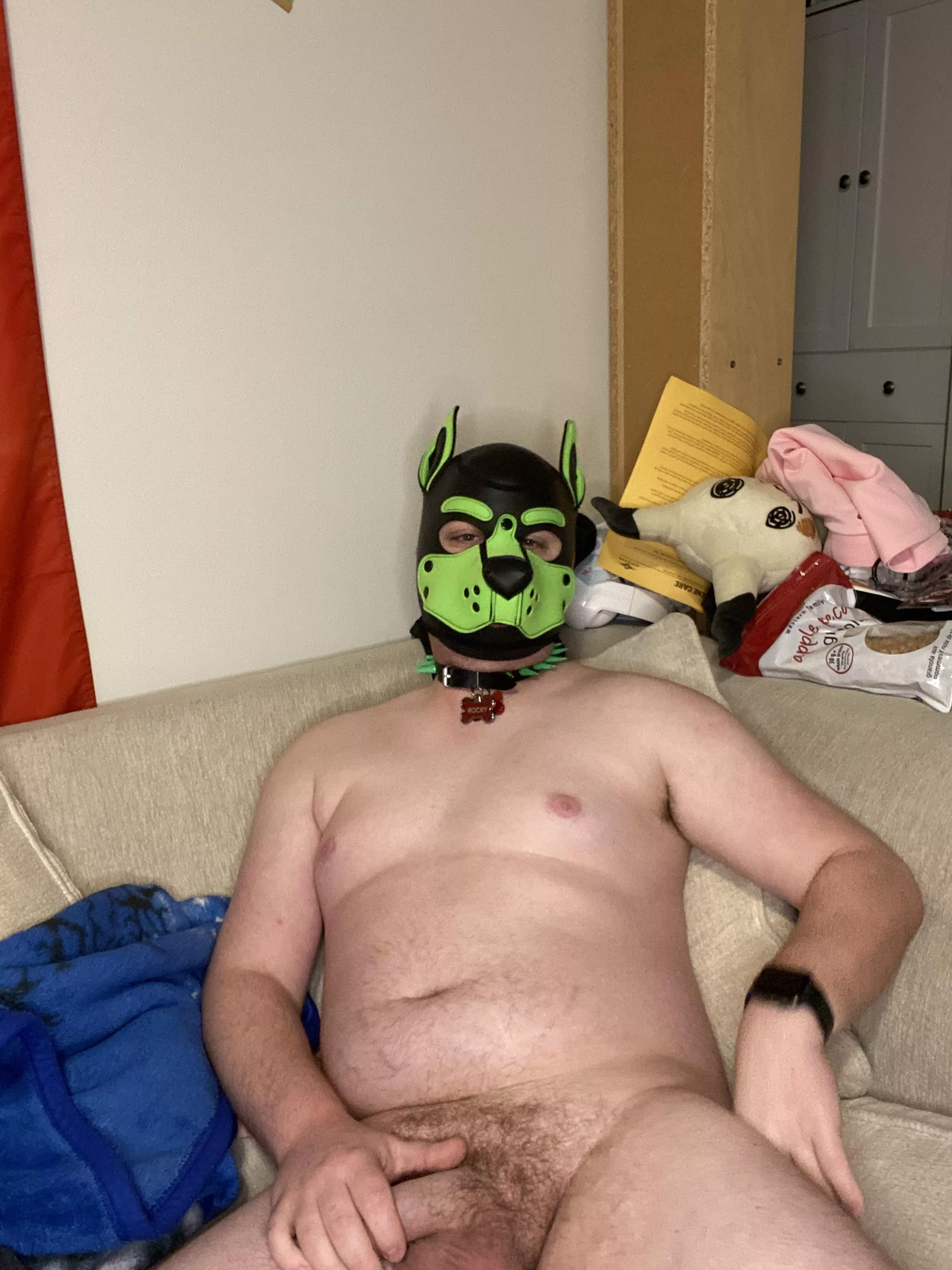 Awruff~ this pups ready to play!