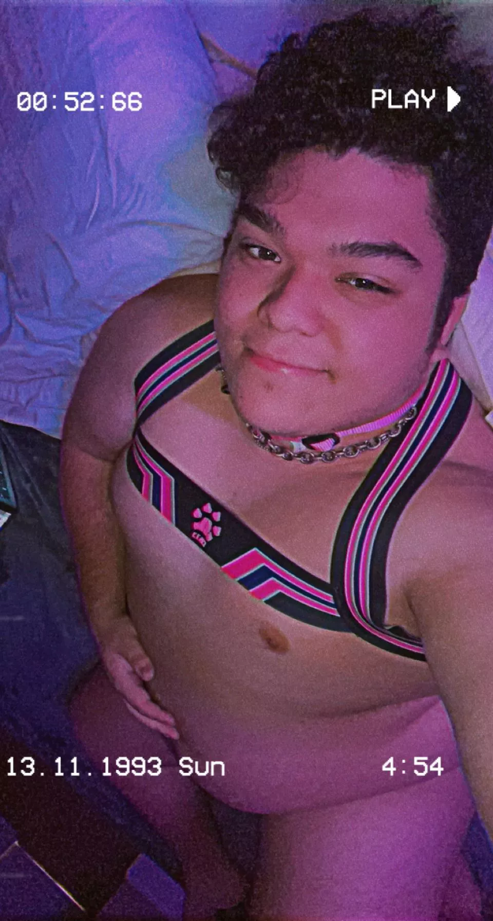 Baruff! Wanted to show off my collar! Just got it today! Any handlers wanna put their name on it? Still looking for a long term handler!