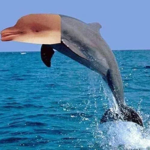 “Beaver Lipsidus” a new species of lake Dolphin.