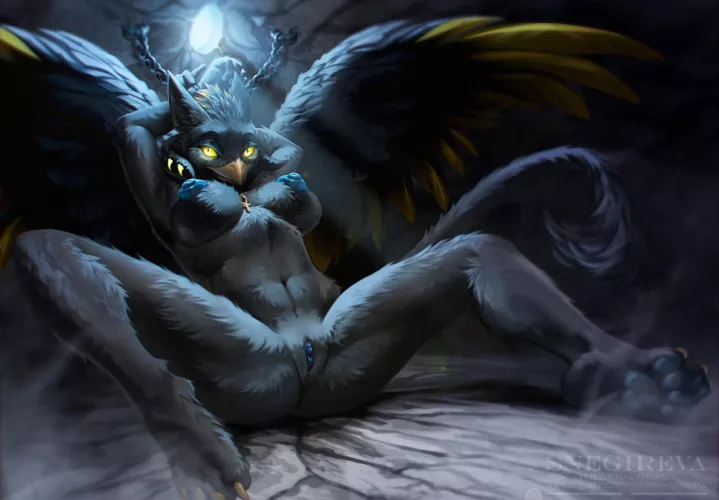 Black Griffin [F] (Snegireva)