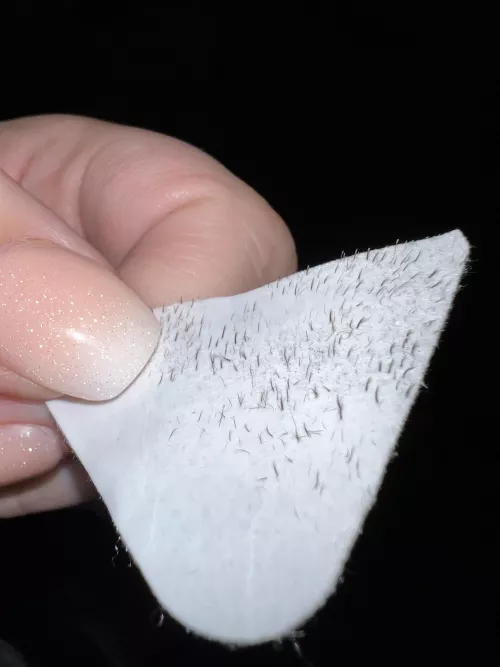 Bountiful pore strip harvest from my boyfriend this weekend!