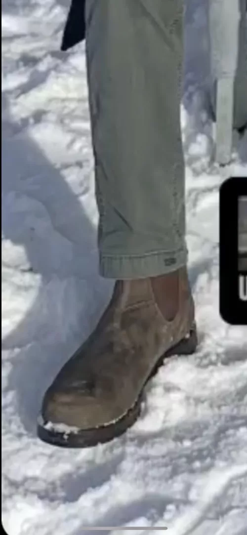 Can someone confirm these Chelsea boots?Looks like Blunderstone 585