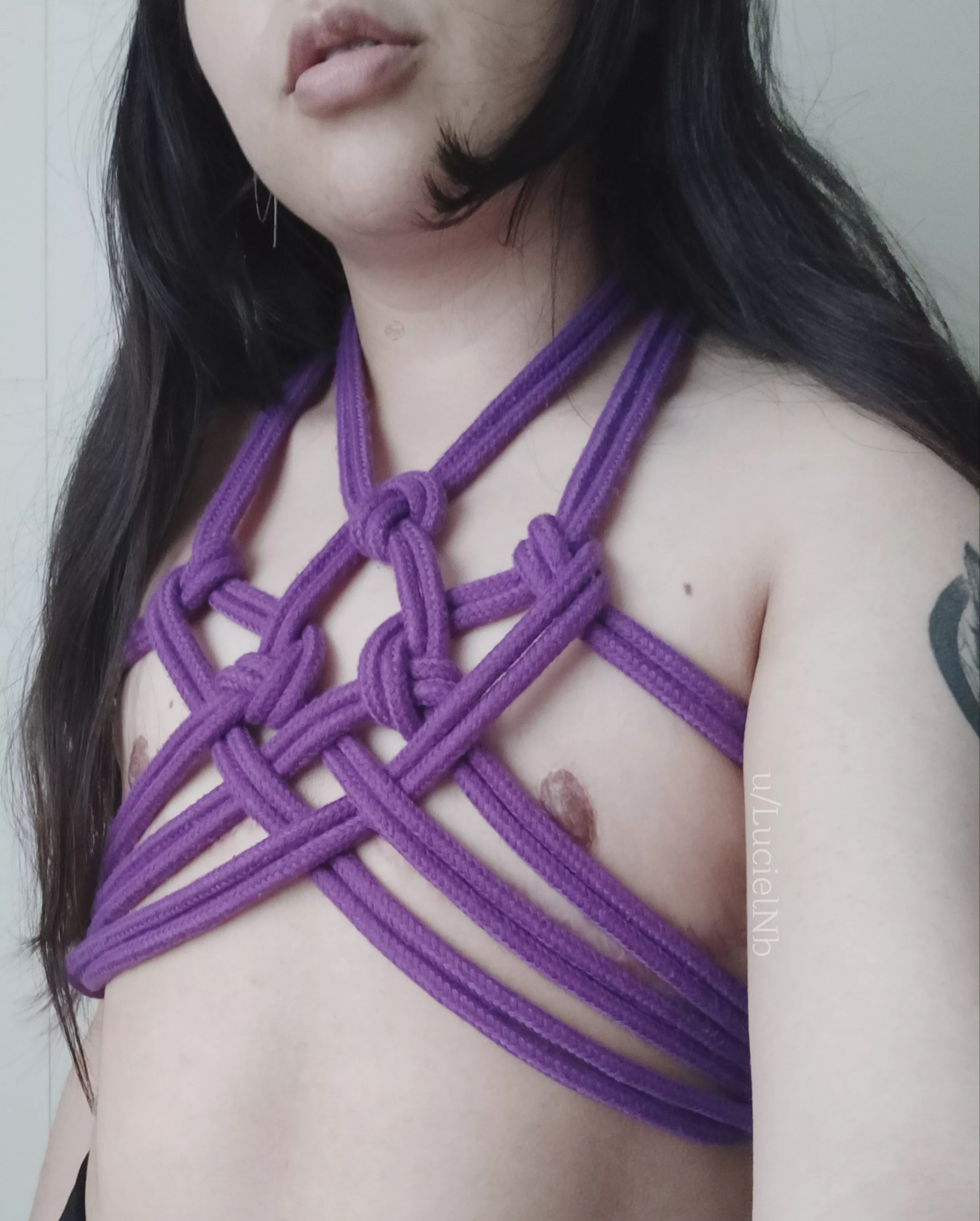 Chest harness I came up with yesterday