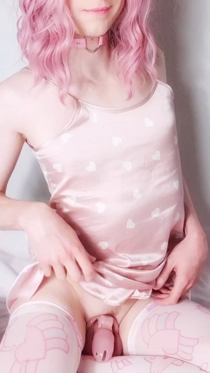 Do you like my cute bedtime outfit? Anything else and I can't get to sleep, the cage feels natural now