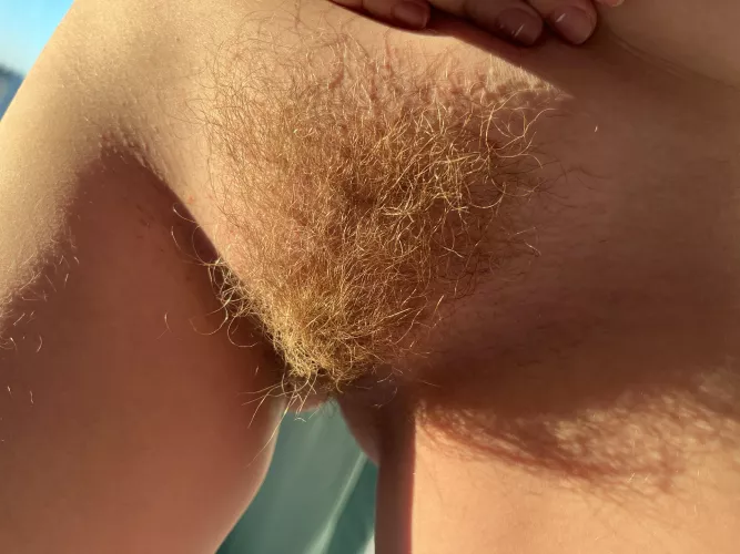 do you like red bushes?