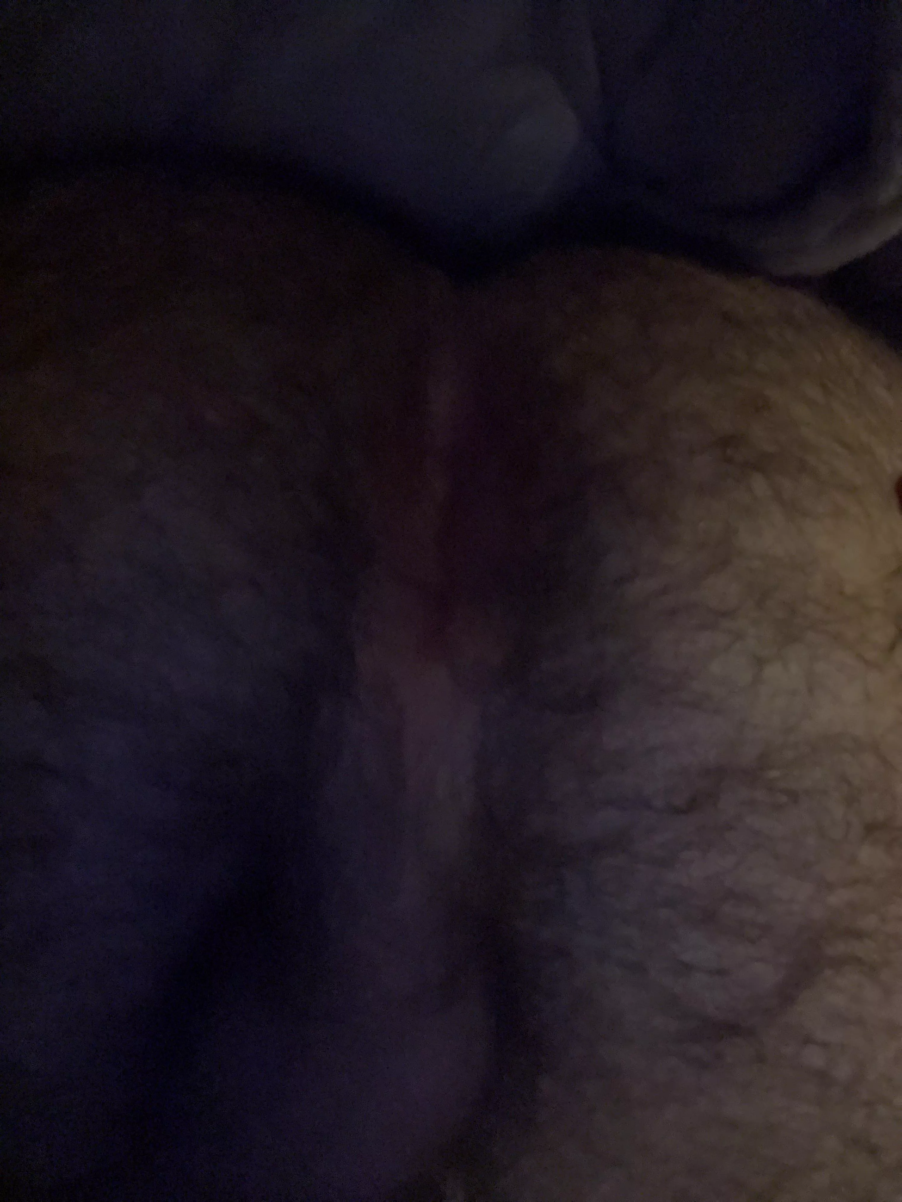 Feel so breedable, anyone care to help?