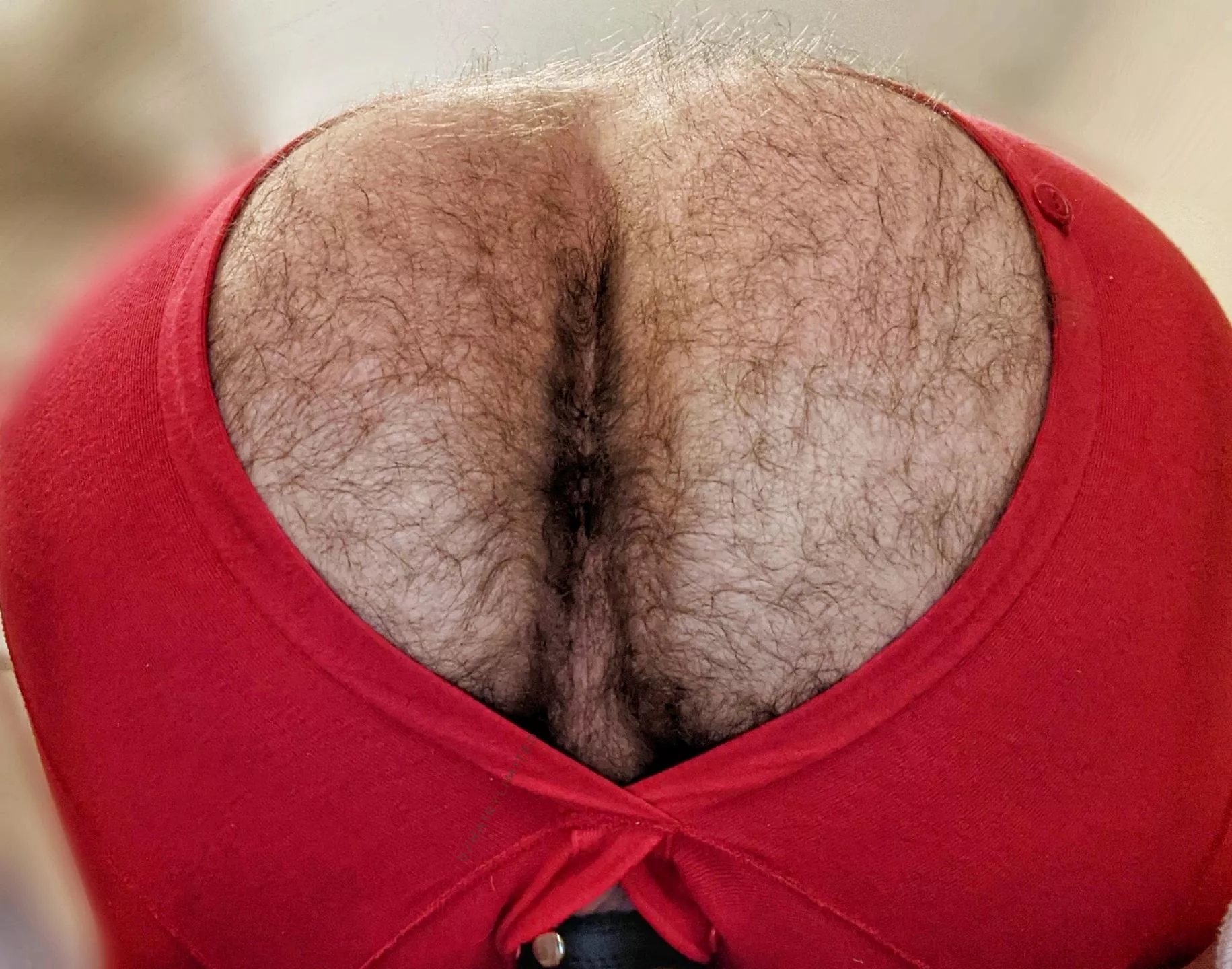 fuzzy wisps all over. they're quite soft.