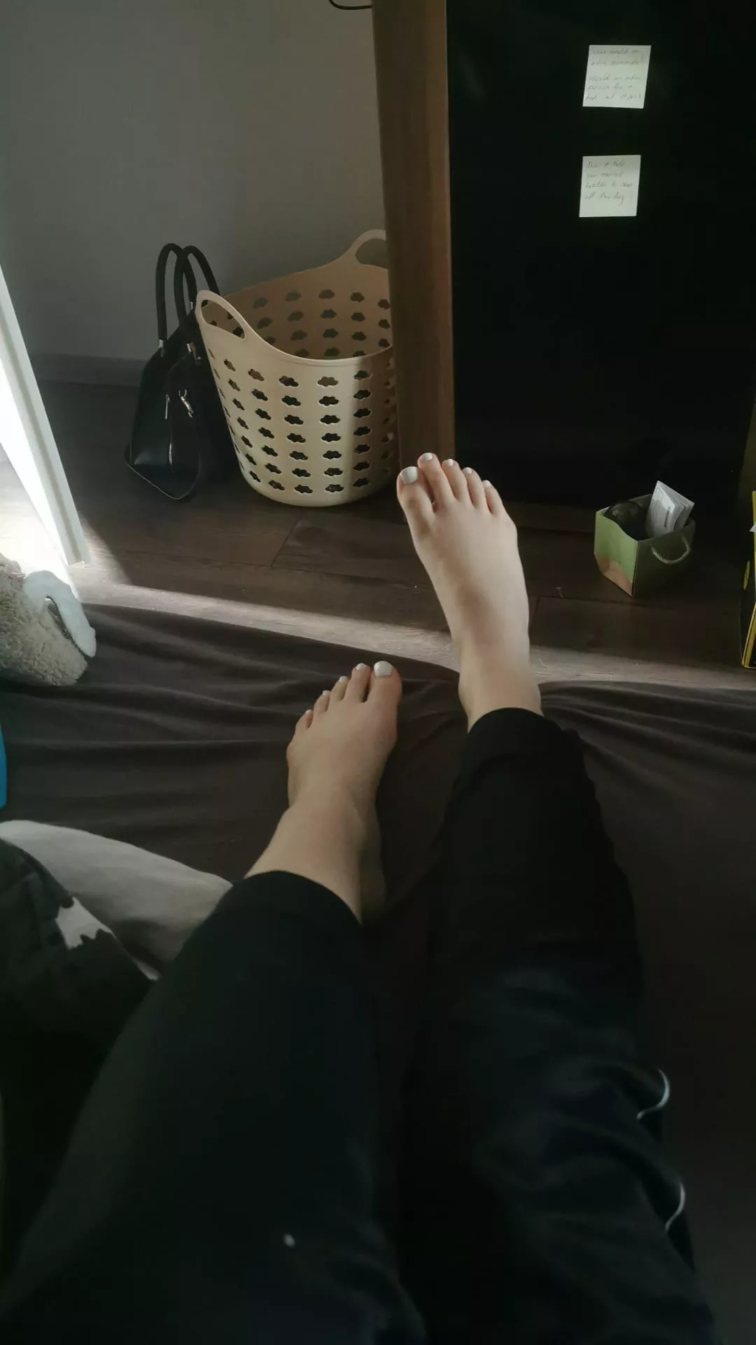 get on your knees and lick it