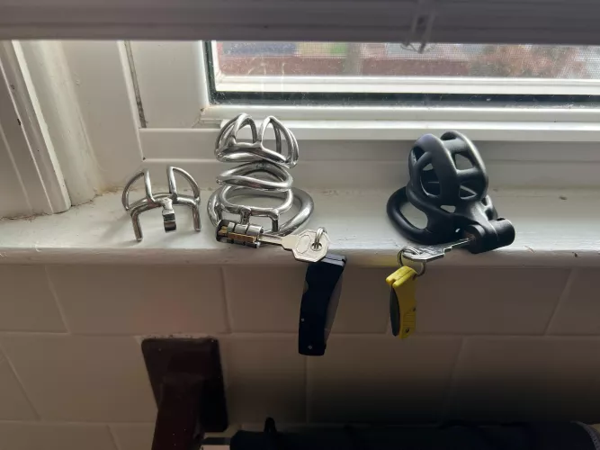 Getting dressed for the day. Which should I wear?