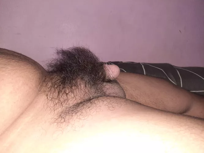 hairy penis.1 year+ not shaved and trimmed