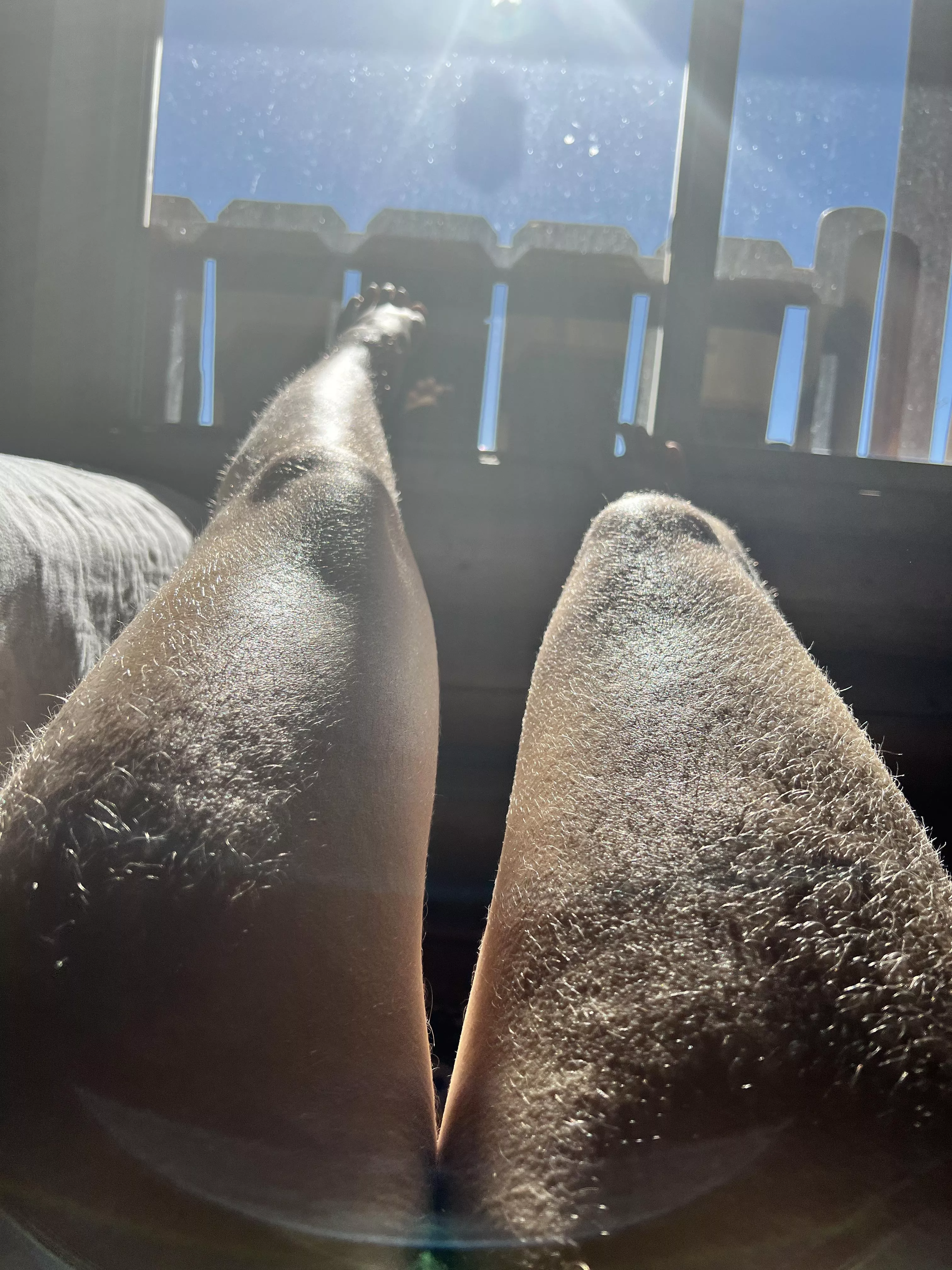 I think I get fuzzier every day 😜