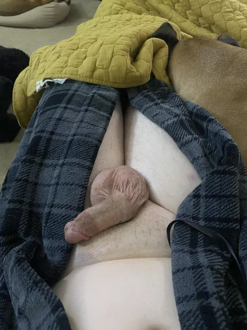 I’m just trying to have a relaxing night, then my dog decides to hog the couch…lol