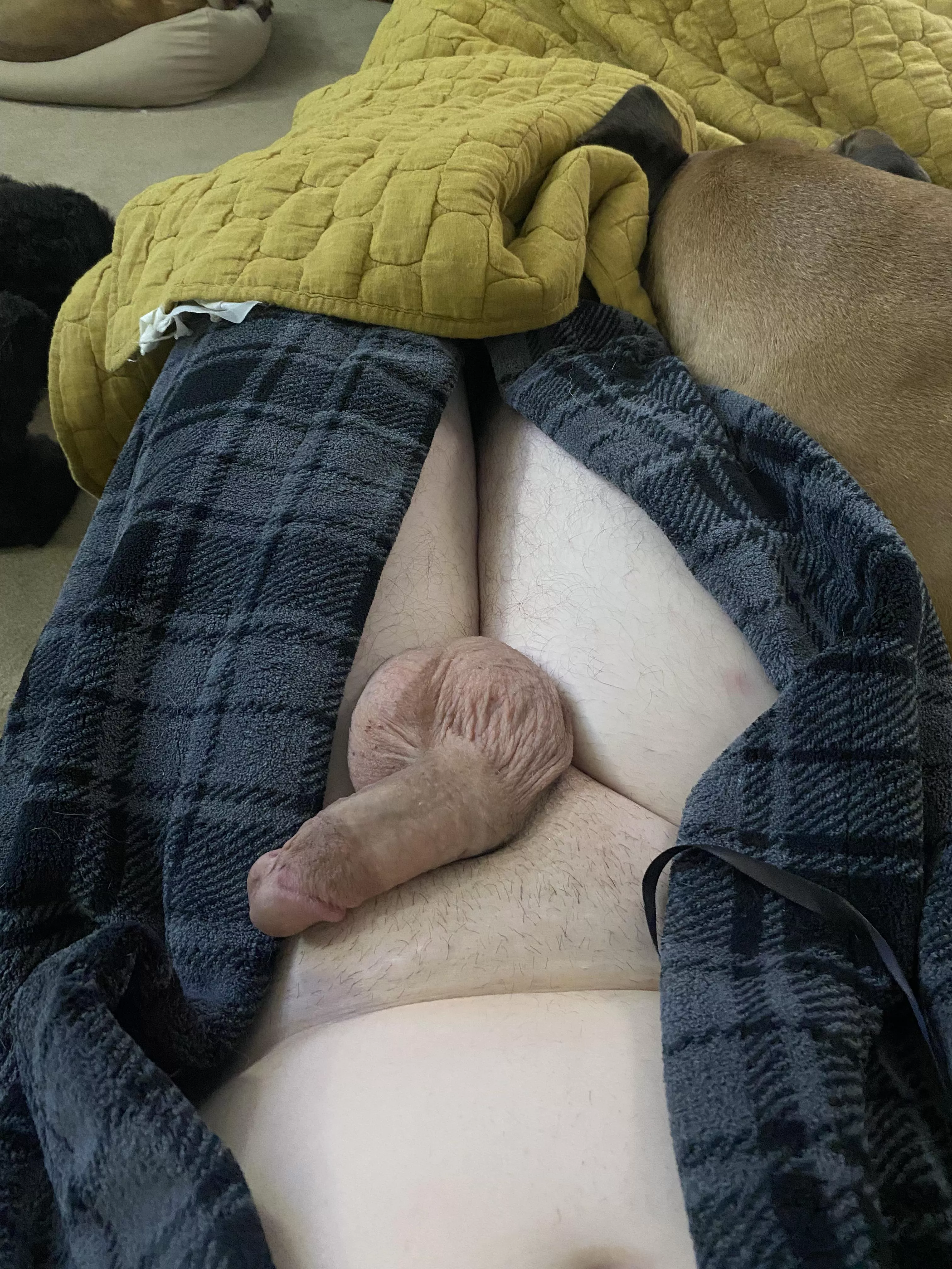 I’m just trying to have a relaxing night, then my dog decides to hog the couch…lol