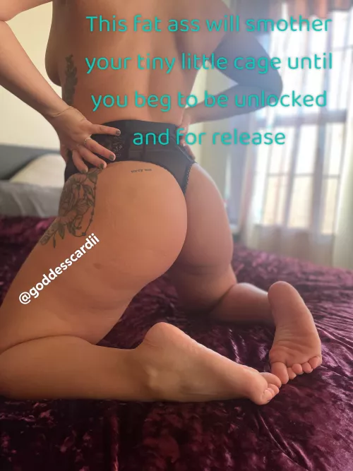 Insert your face here