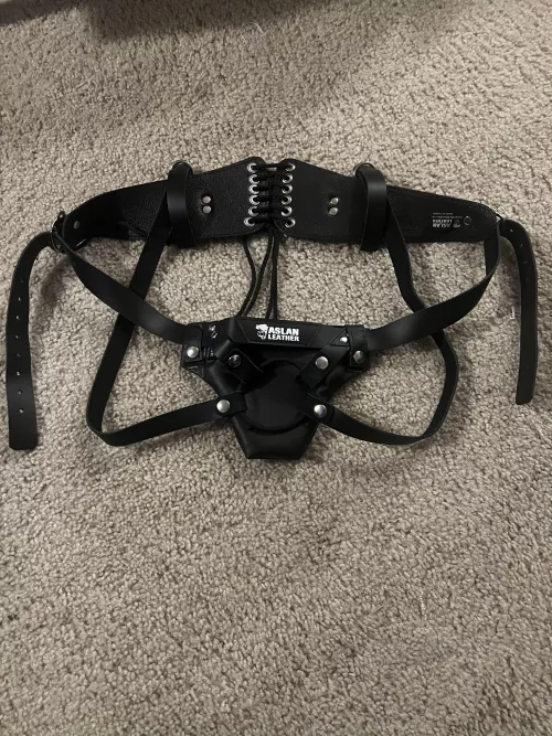 Just arrived in the mail moments ago. My wife has definitely been into the idea of it and we’re definitely not new to this kind of play, definitely happy with my purchase.