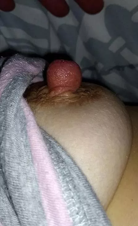 my good hard nipple....