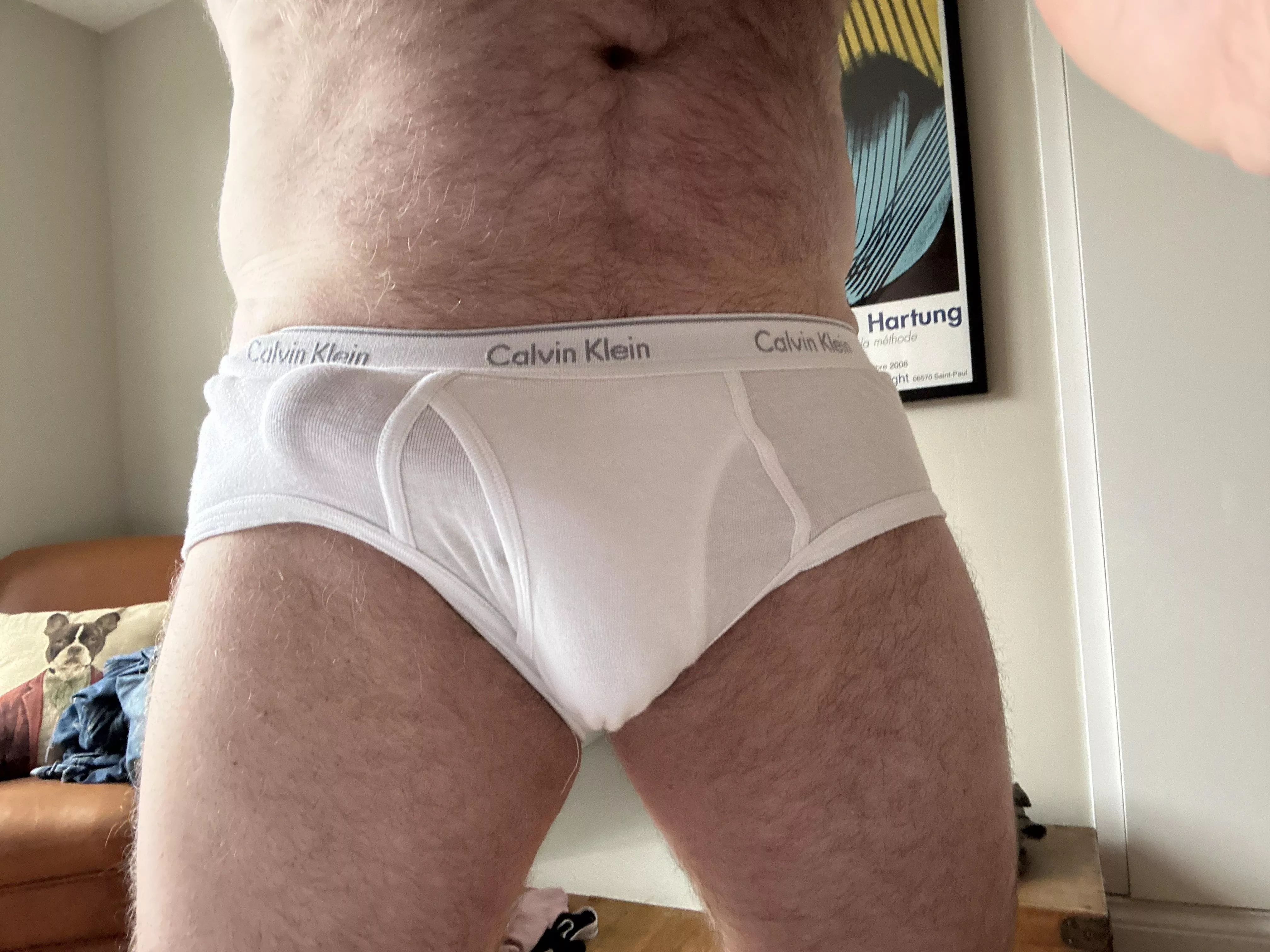 My thick cock bulging in my briefs
