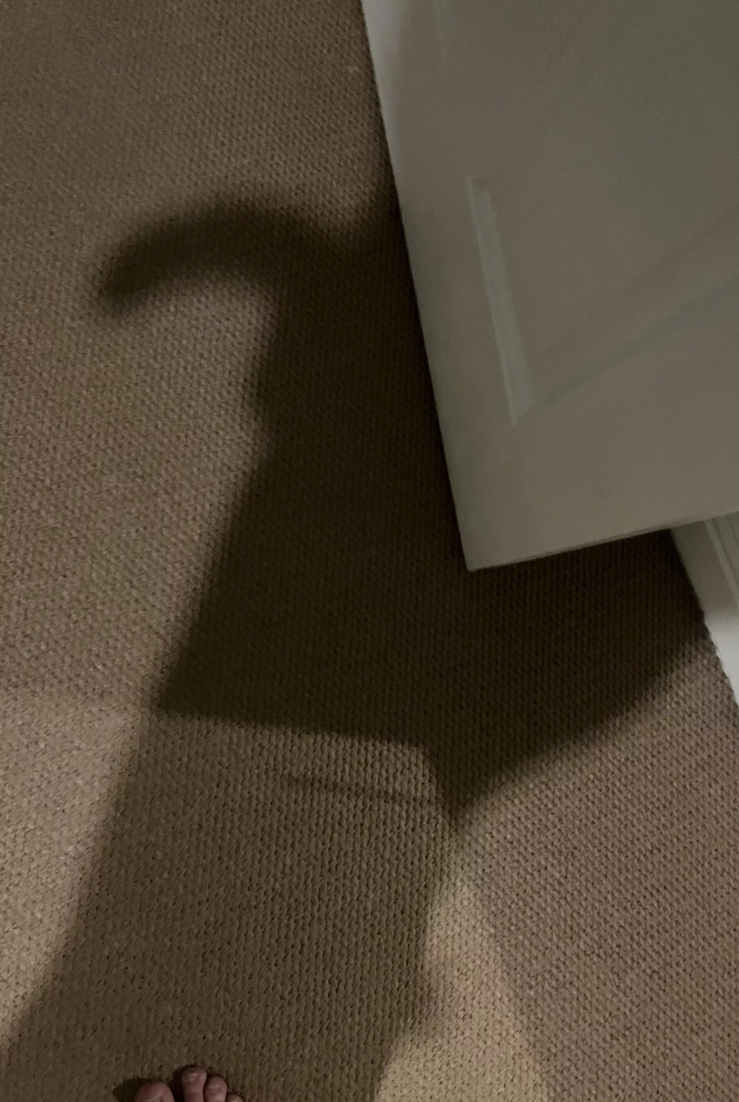 Not your average outline!